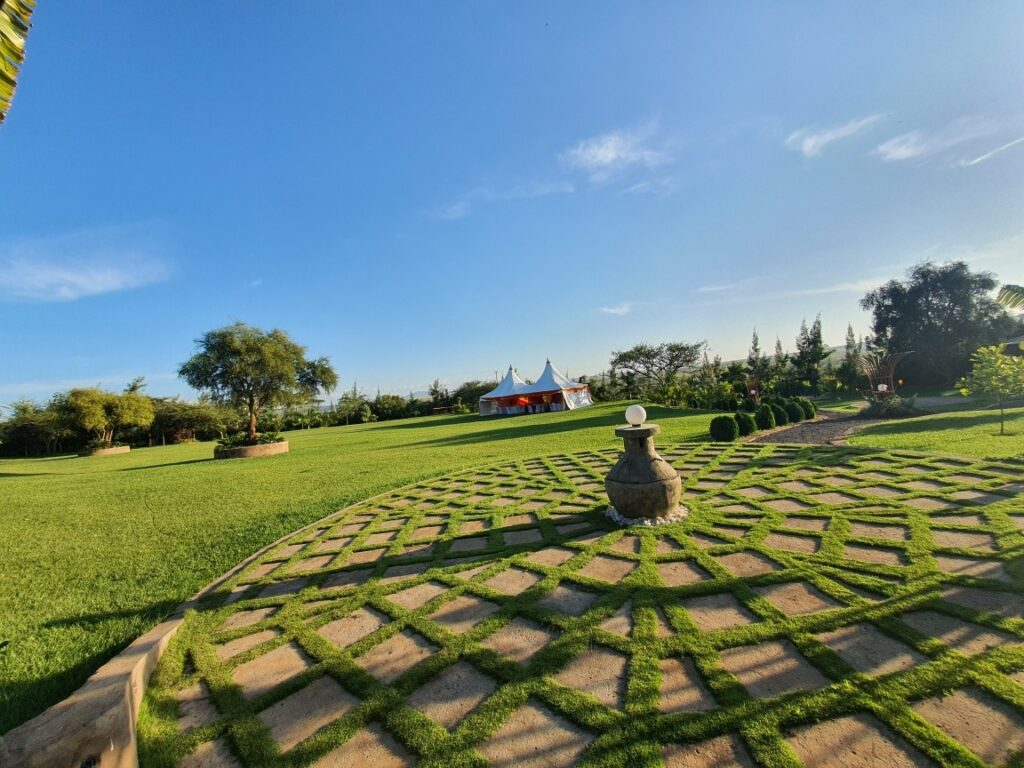 164684353 285379309653663 89873483290756345 n