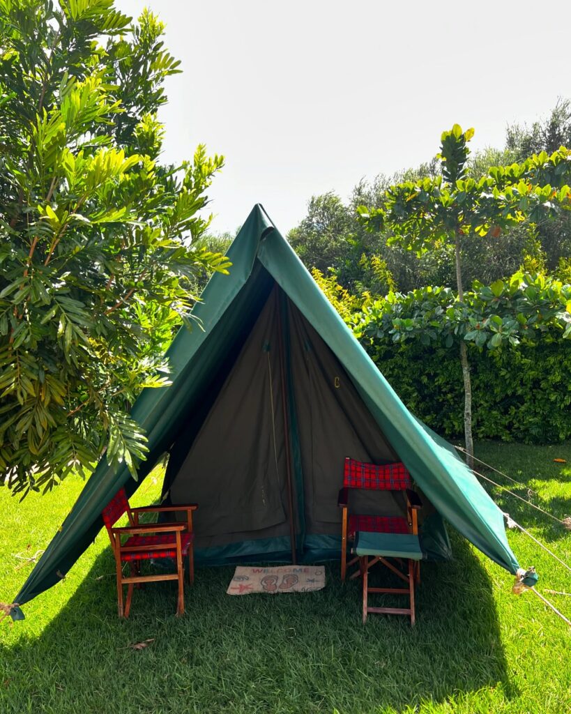 453029968 18010261292548374 2681590571791351390 n (1)