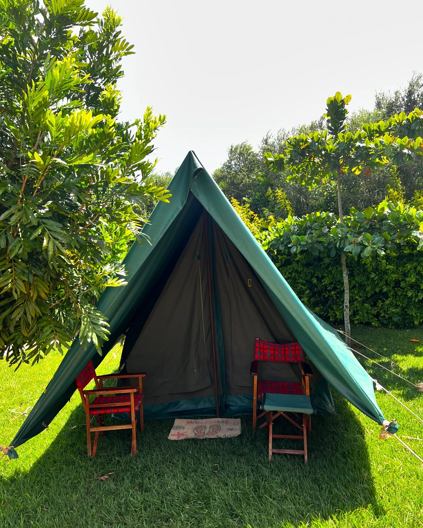 453029968 18010261292548374 2681590571791351390 n (1)