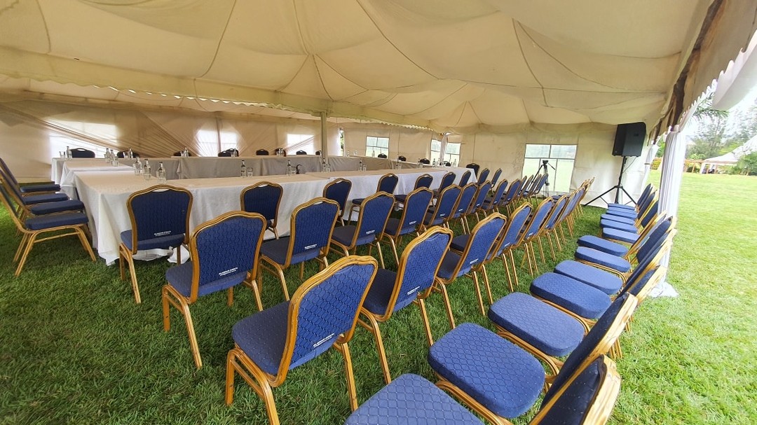 473395921 1138541377670781 7115160524155078533 n