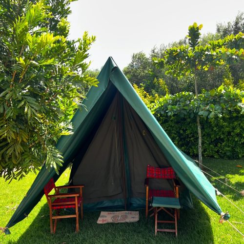 453029968 18010261292548374 2681590571791351390 n (1)