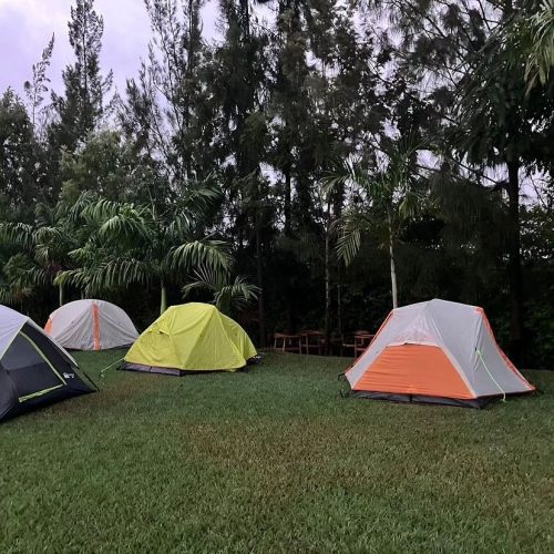 465901906 18022528391548374 7583677226756816504 n (1)