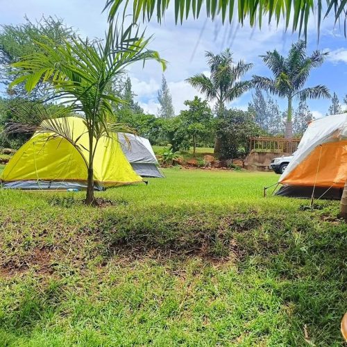 466092160 18022528472548374 2122498467164136375 n (1)