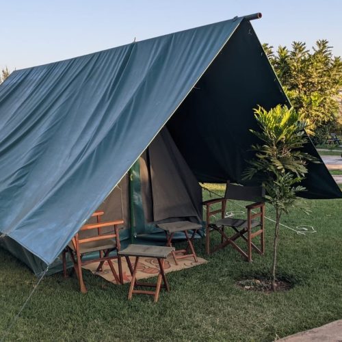 473077572 1136116297913289 6773295701520292963 n (1)